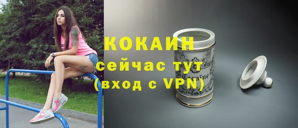 прущий лед Алзамай