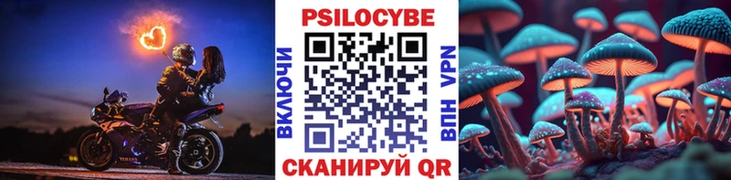 Галлюциногенные грибы Cubensis  Самара 